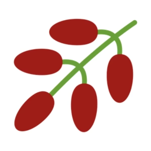 Wolfberry Chino Goji