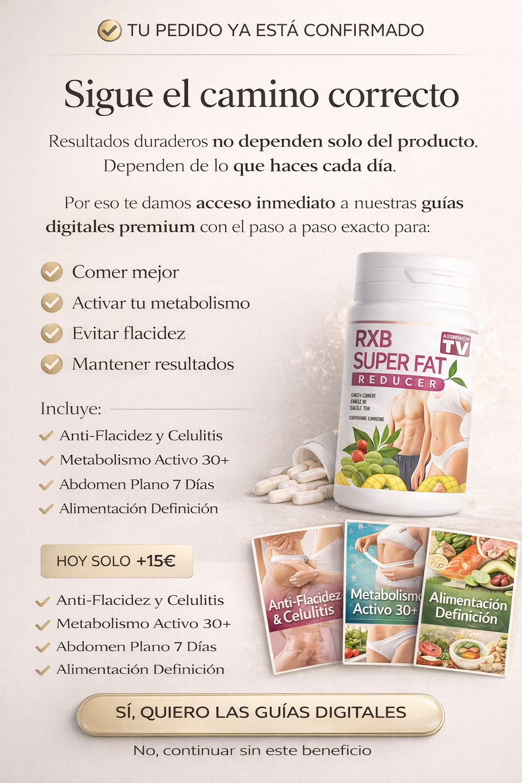 GUIAS DIGITAIS