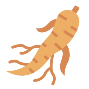 Ginseng